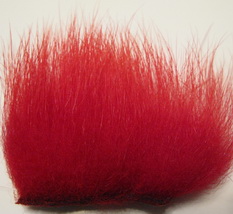 polar bear scarlet standart